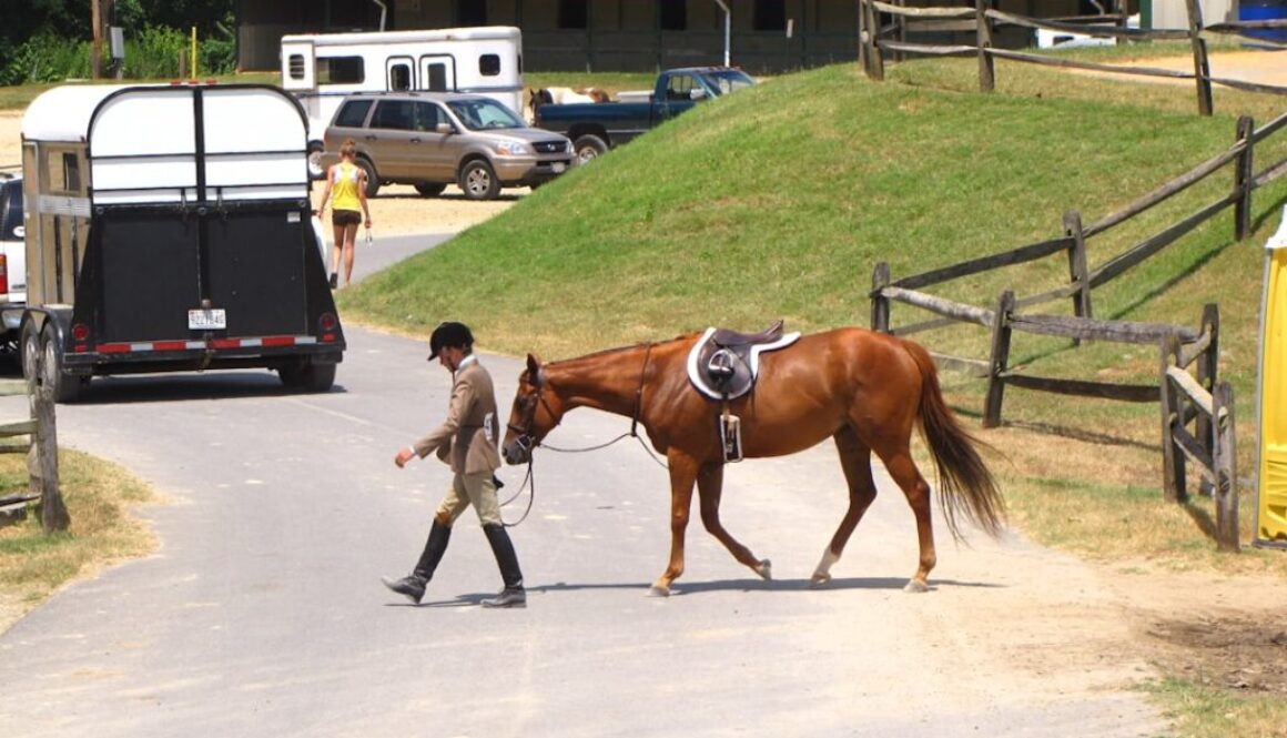 Dlaczego król szwecji Gustaw Adolf był tak ważny - jego wpływ na europejskie wojny