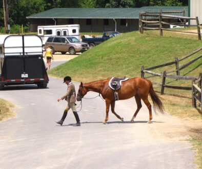 Dlaczego król szwecji Gustaw Adolf był tak ważny - jego wpływ na europejskie wojny