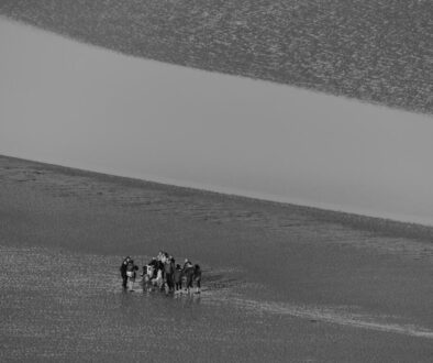 Dlaczego Kazimierz Wielki jest nazywany wielkim - jego dokonania dla Polski