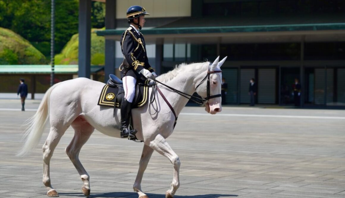 Co symbolizuje Orzeł Biały - historia i znaczenie herbu Polski