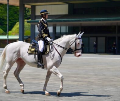 Co symbolizuje Orzeł Biały - historia i znaczenie herbu Polski