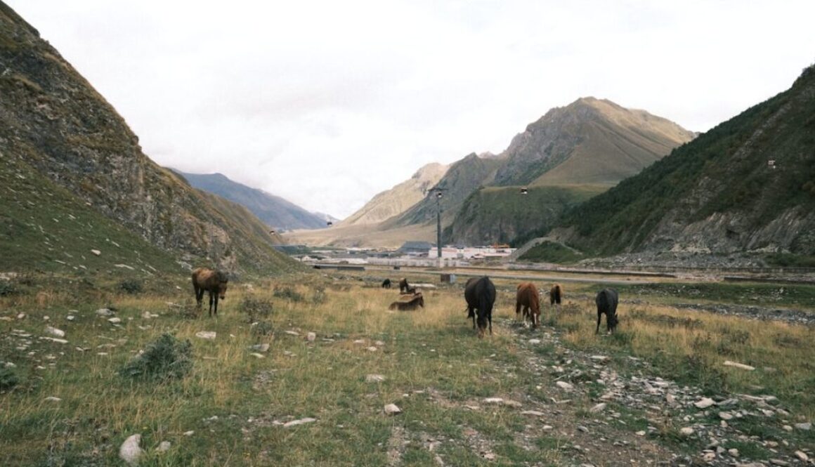 Co wiemy o Powstaniu Listopadowym - przyczyny i konsekwencje dla Polski