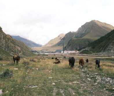 Co wiemy o Powstaniu Listopadowym - przyczyny i konsekwencje dla Polski