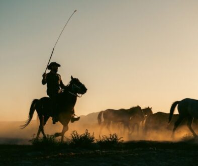 Rola Tatarów w bitwie pod Wiedniem - ich udział i taktyka