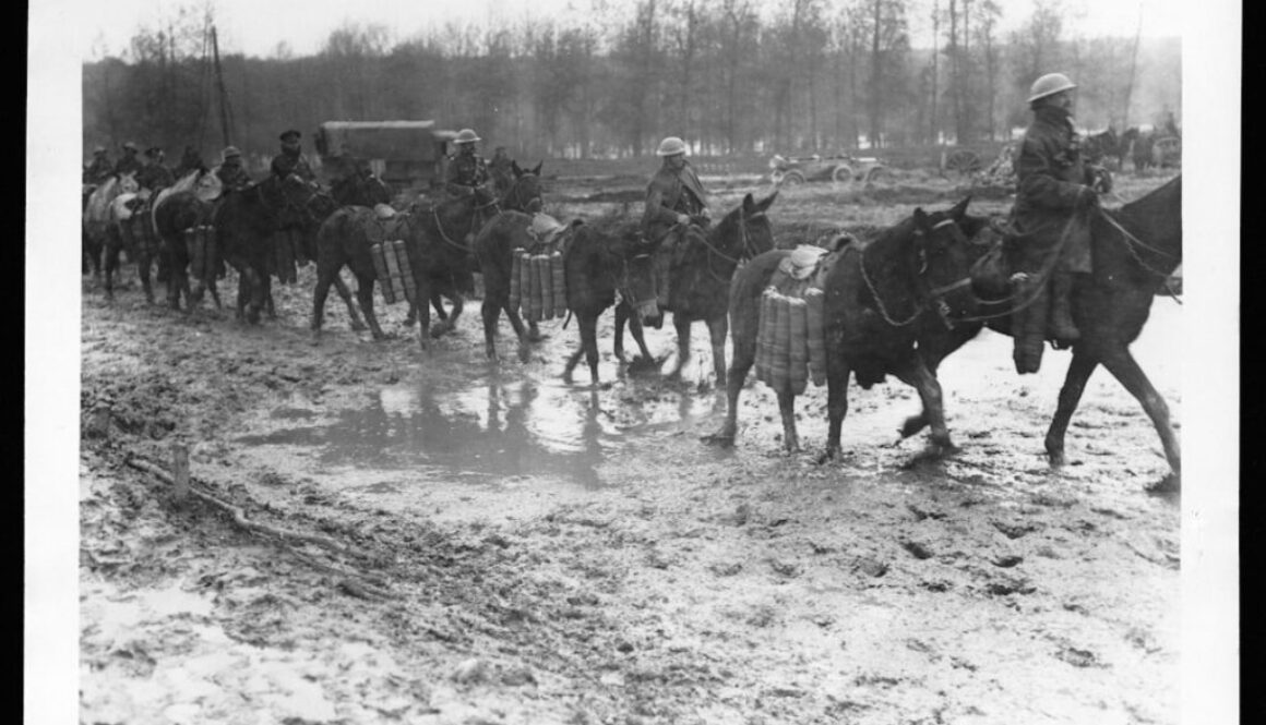 Kim był Zygmunt I Stary - jego rządy i złoty wiek polski