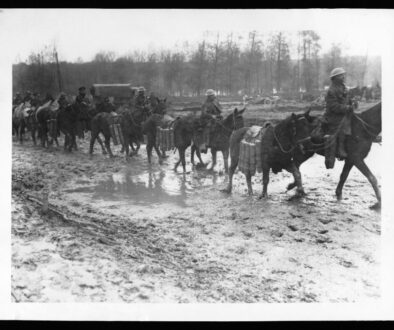 Kim był Zygmunt I Stary - jego rządy i złoty wiek polski