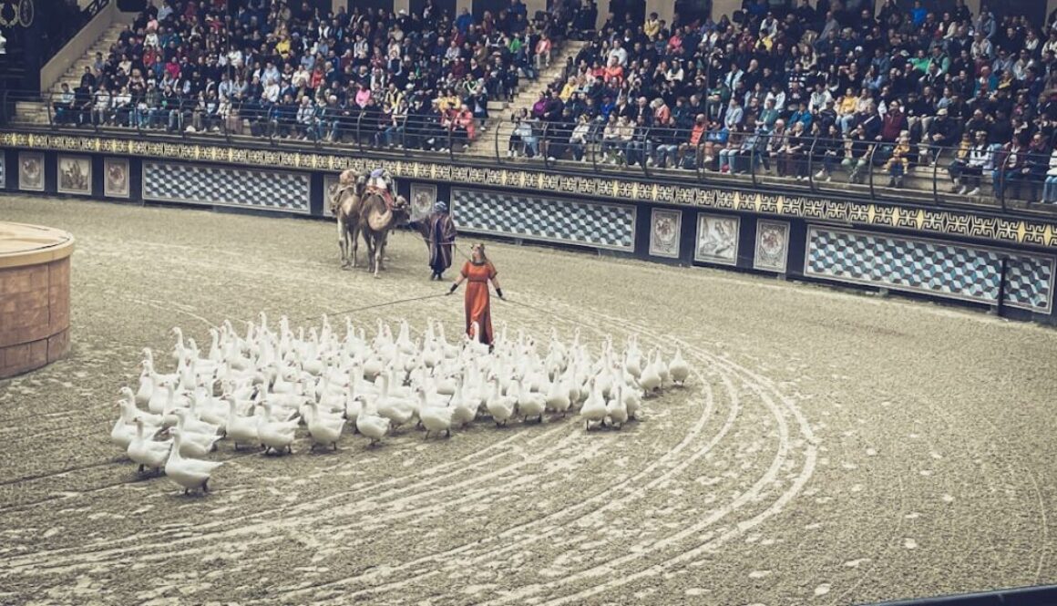 Jakie były bitwy w historii Polski - przegląd najważniejszych starć