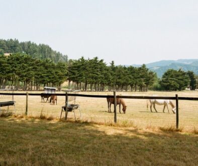 Co wiemy o historii Warszawy - od średniowiecza do XVII wieku