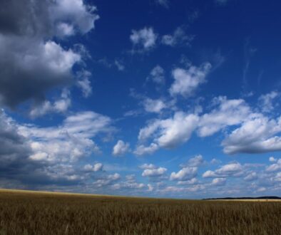 Co tak naprawdę stało się po bitwie - analiza jej konsekwencji dla Europy
