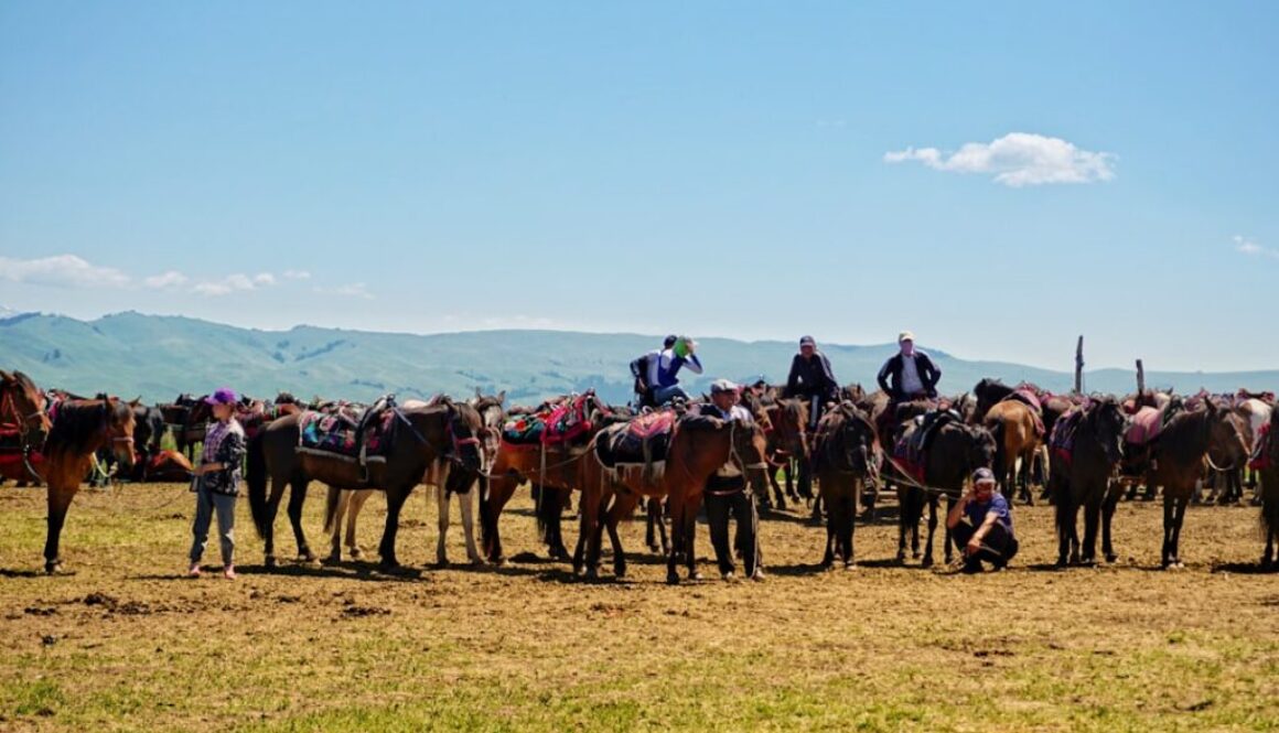 Dlaczego odsiecz wiedeńska była tak ważna dla Kościoła - religijne aspekty zwycięstwa