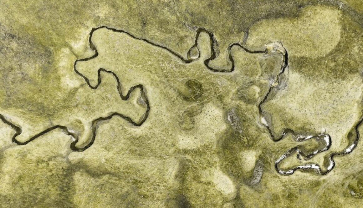 Co wiemy o roli papieża w odsieczy wiedeńskiej - relacje dyplomatyczne i finansowanie